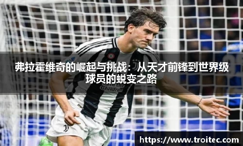 弗拉霍维奇的崛起与挑战：从天才前锋到世界级球员的蜕变之路